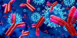 Antikörper mit Coronavirus - Foto: iStock/wildpixel