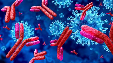 Antikörper mit Coronavirus - Foto: iStock/wildpixel