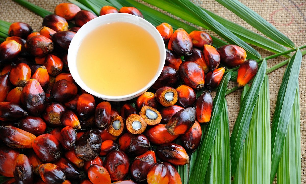 Früchte der Ölpalme und daneben Palmöl in einer Schale