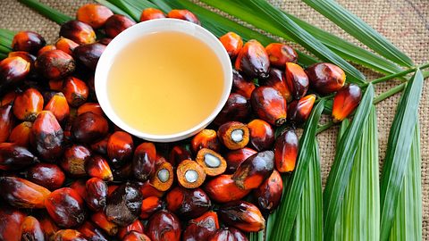 Früchte der Ölpalme und daneben Palmöl in einer Schale - Foto: istock_slpu9945