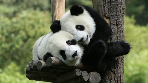 Foto: iStock - Foto: iStock/zeleno