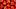 Rote Paprikaschoten, von oben fotografiert - Foto: iStock-525736528 orinoco-art