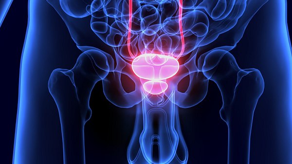 Prostatabeschwerden: Welche gibt es, wie werden sie behandelt? - Foto: iStock/PALMIHELP