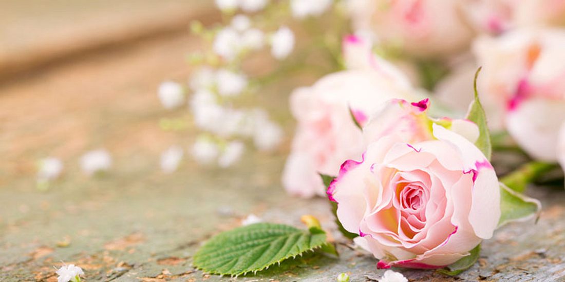 Rose gegen Stress