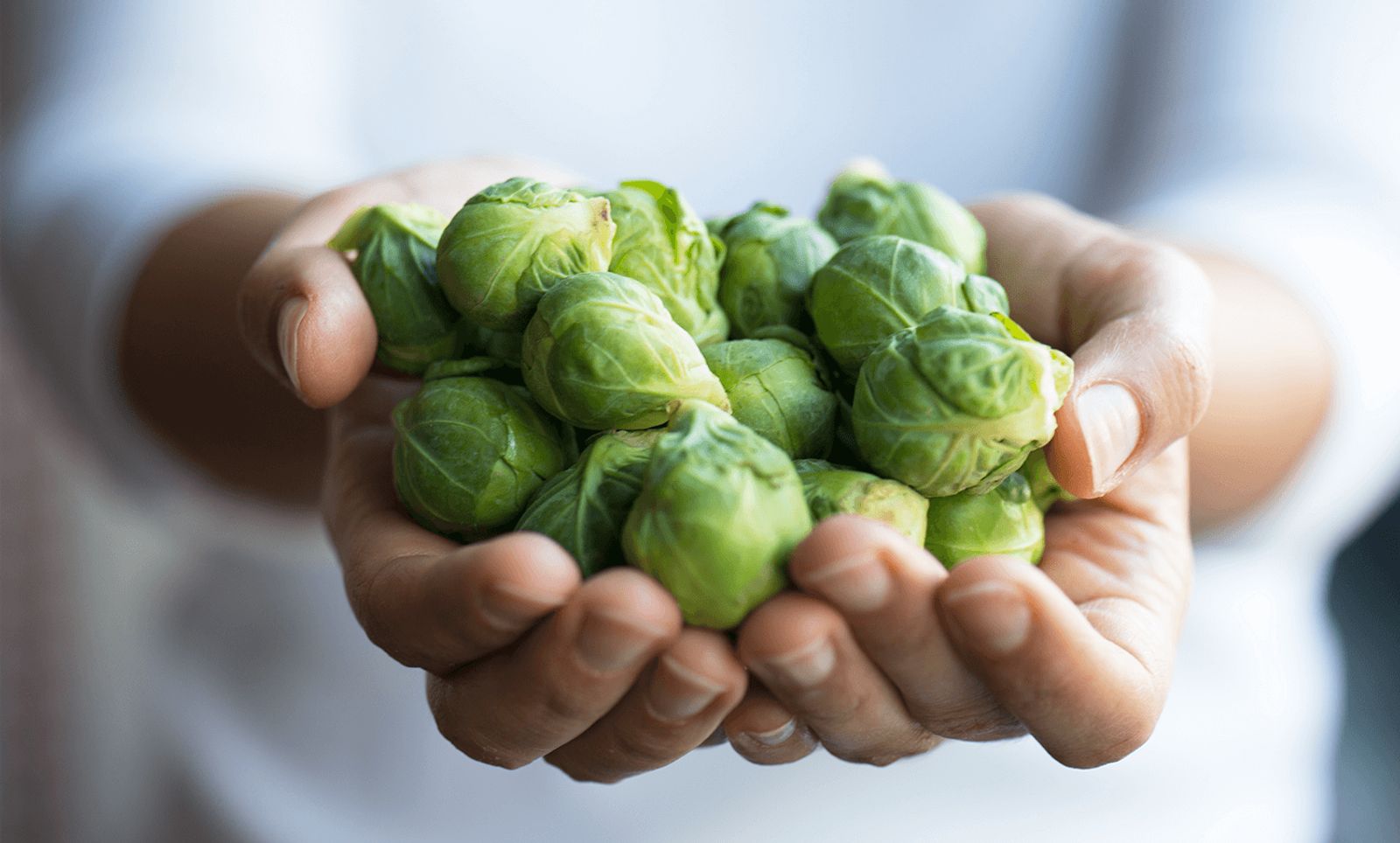 Rosenkohl: gesund und unverwüstlich | PraxisVITA