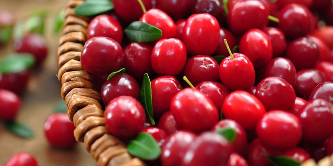 Cranberrys gesund