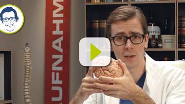 Dr. Johannes erklärt, warum unser Gehirn Pausen braucht, um richtig zu arbeiten - Foto: privat