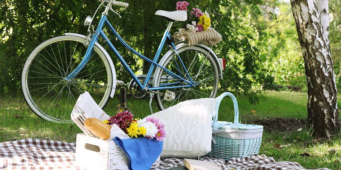 Picknick im Schatten