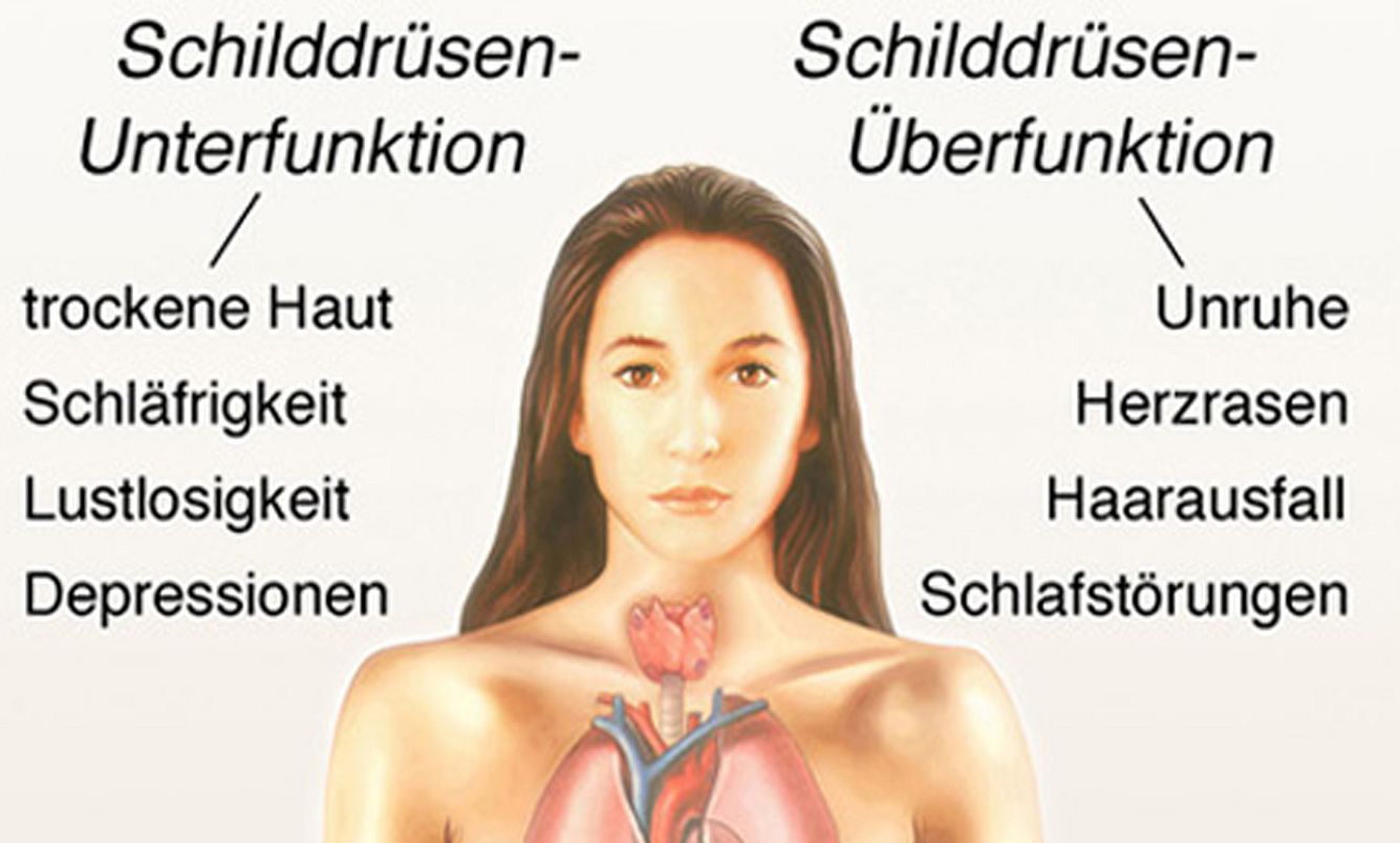 Schilddrüsenfehlfunktionen
