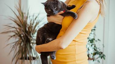 Schwangere Frau trägt Katze auf dem Arm - Foto: iStock/petrunjela