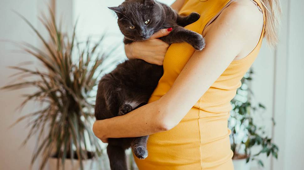 Schwangere Frau trägt Katze auf dem Arm - Foto: iStock/petrunjela