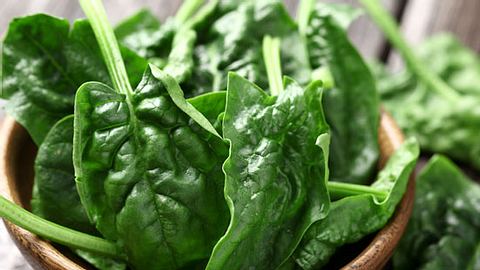 Spinat - nur ein Küchengemüse oder doch Heilpflanze?