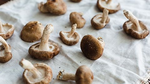 Shiitakepilze - Foto: iStock/LindaRaymond
