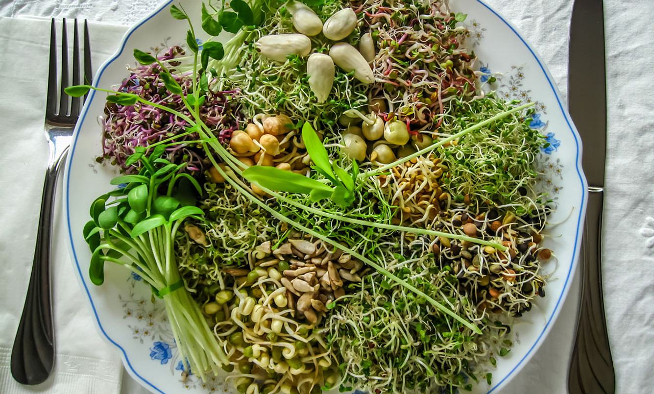 Sprossen im Salat
