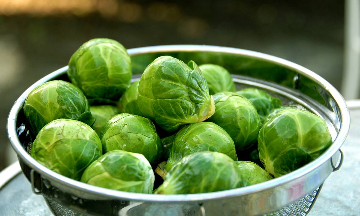 Rosenkohl beugt starken Blähungen vor