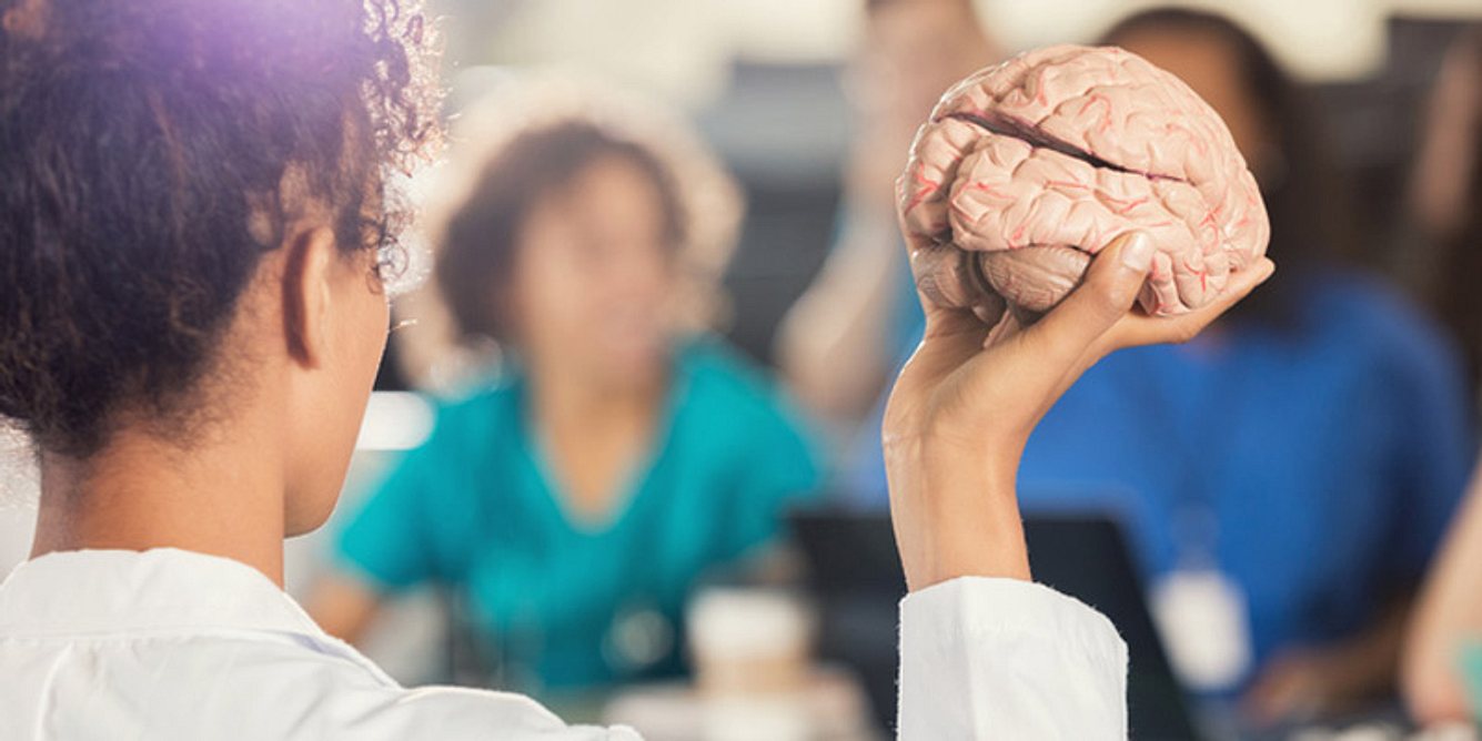 Eine Professorin zeigt Studentin das Modell eines Gehirns