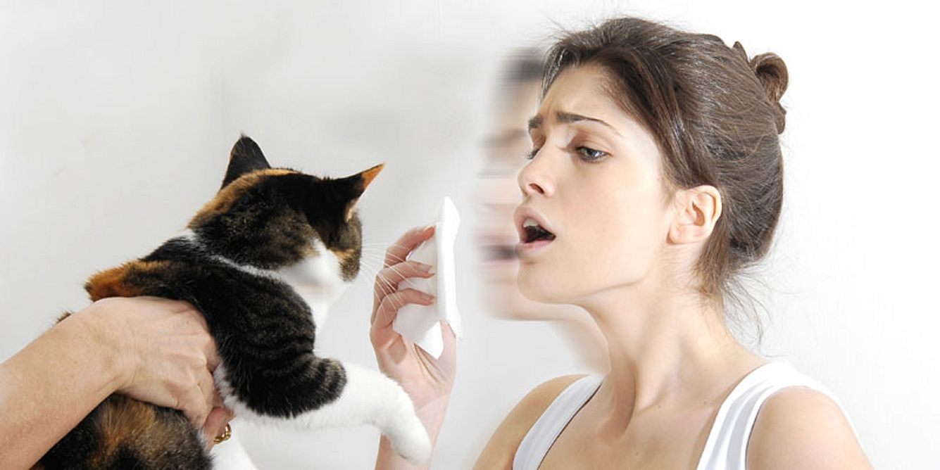Tierhaarallergie