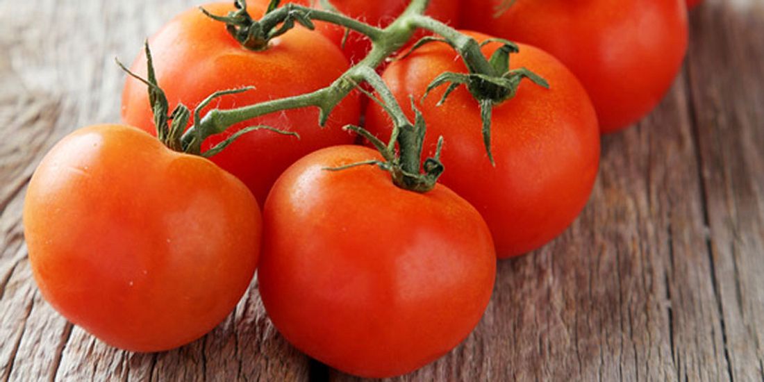 Tomaten schützen vor Sonnenallergie