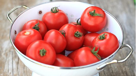 Tomaten in einem Sieb - Foto: iStock_aloha_17