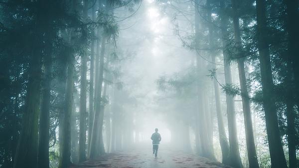 Ein Mann rennt in einem Wald vor jemandem weg - Foto: iStock_xijian