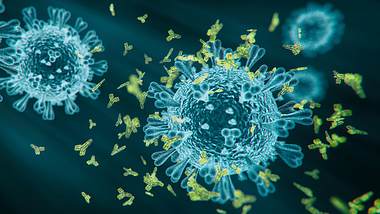 Coronaviren und Antikörper - Foto: iStock/fkoto_feja