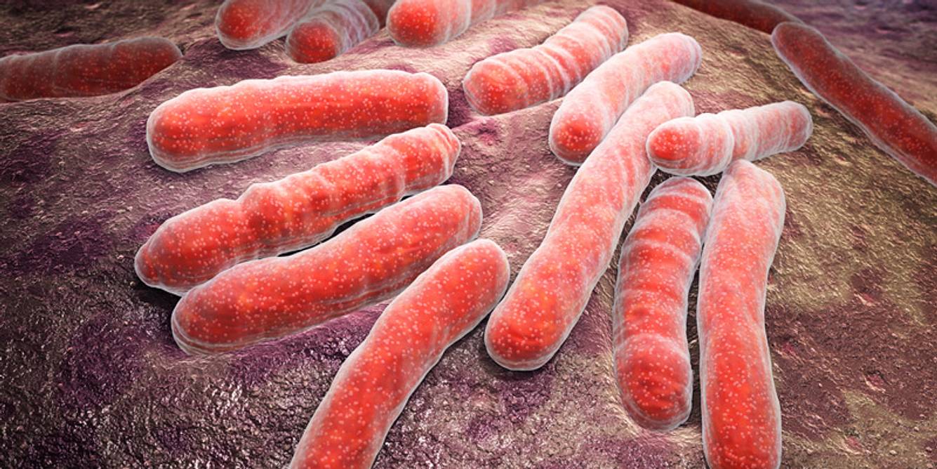 Tuberkulose in Deutschland