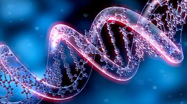 Modell einer DNA-Sequenz - Foto: iStock / peterschreiber.media
