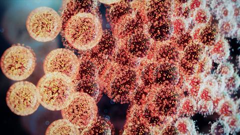 Grafik des Coronavirus - Foto: iStock/nopparit