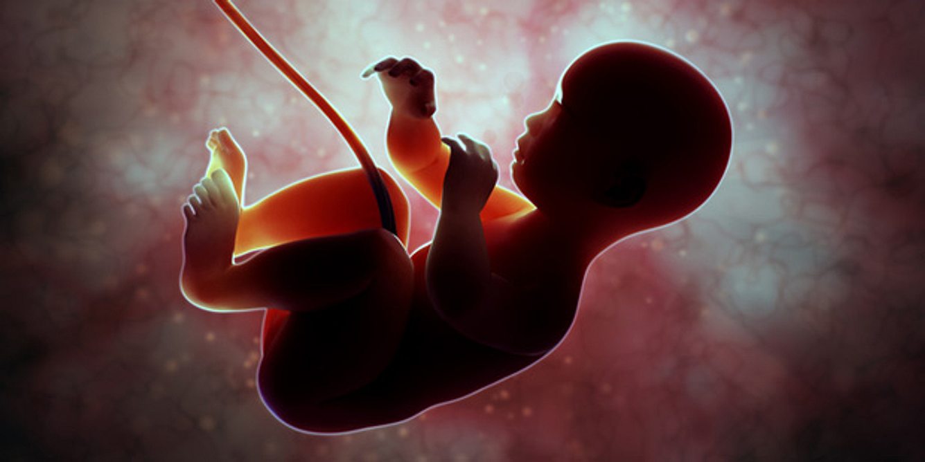 Ein Kind im Mutterleib