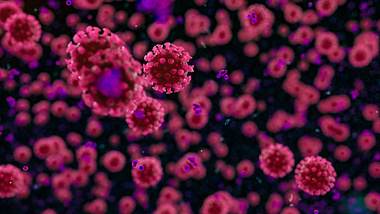 Coronavirus im Blut - Foto: iStock / 4X-image