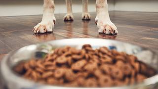 Zu wenig Bewegung und das falsche Futter kann zu Verstopfung führen - Foto: iStock | Chalabala