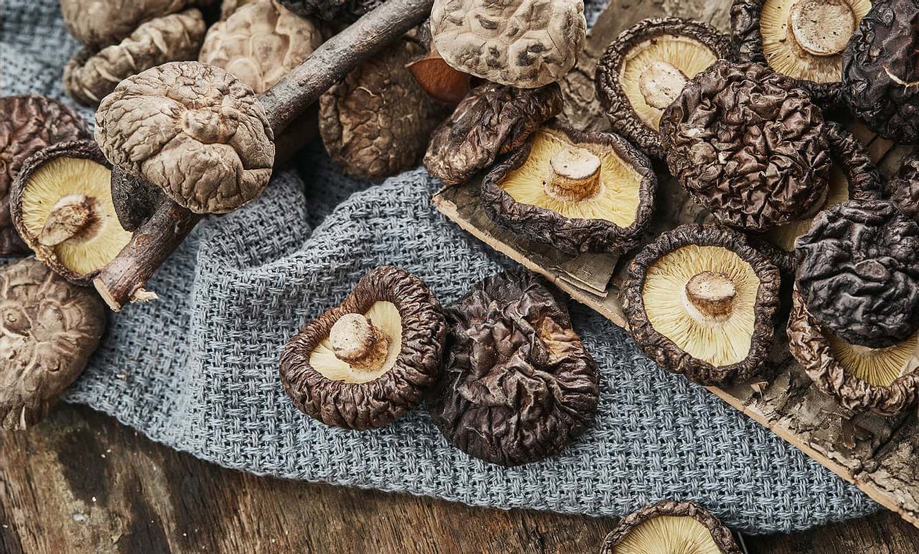 Verschiedene Pilze auf einem Holztablett und einem Handtuch