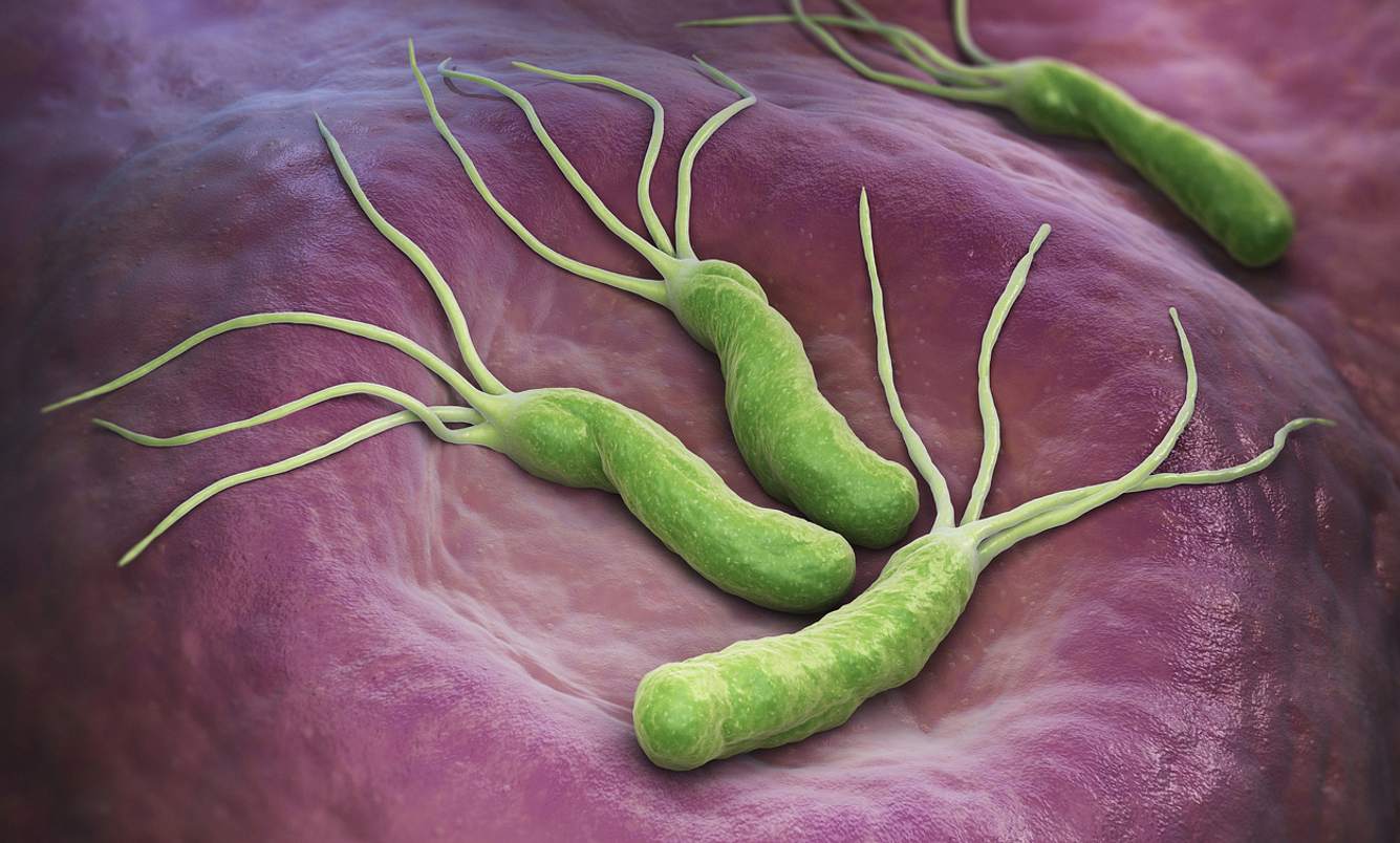 Vitamin-B-Mangel bei Helicobacter pylorie