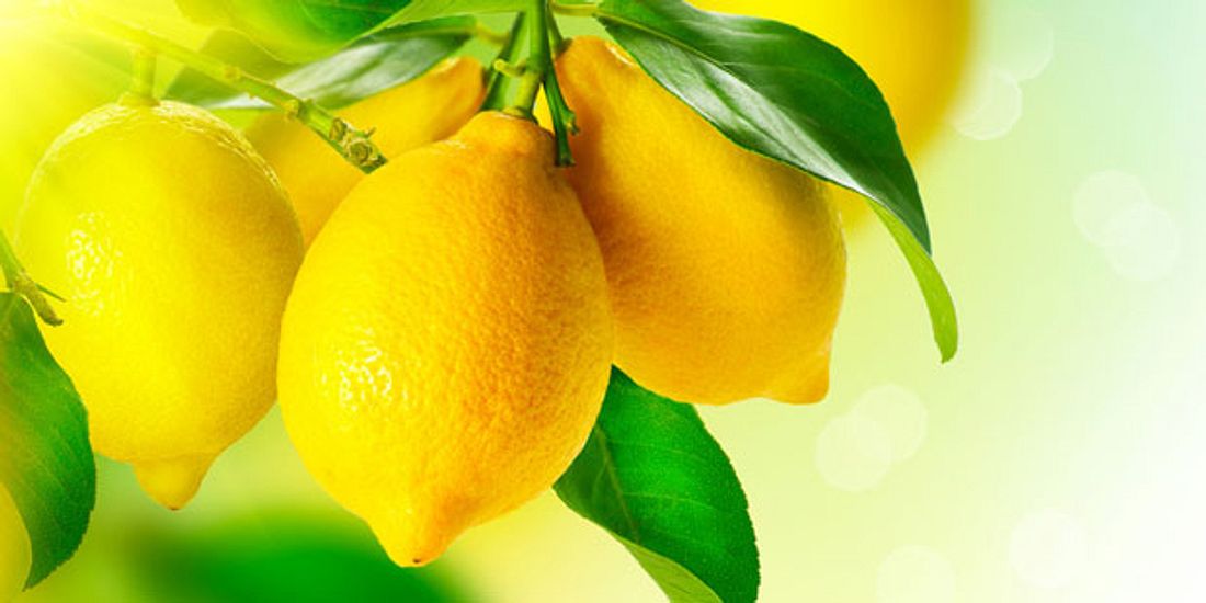 Zitronen sind Vitamin-C-Bomben
