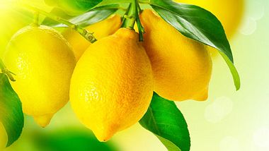 Zitronen sind Vitamin-C-Bomben - Foto: Fotolia