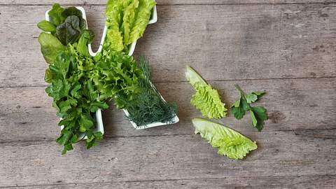 Foto: iStock - Foto: iStock/Gargonia