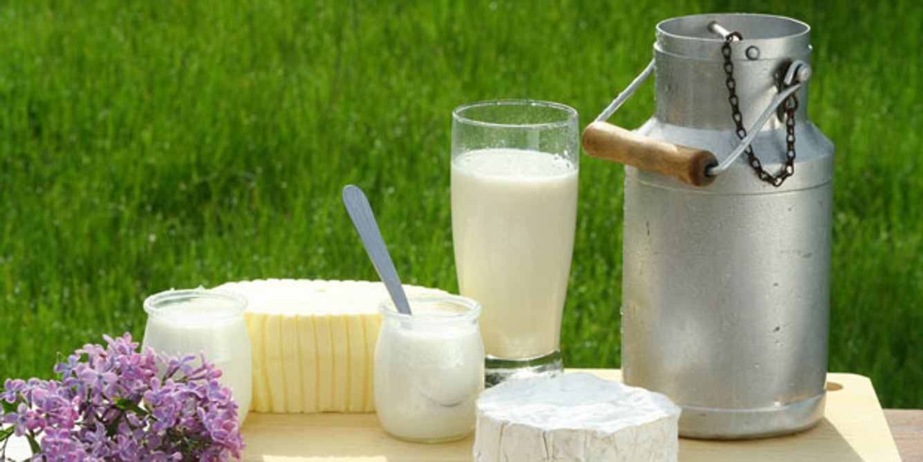 Können Milchprodukte Diabetes vorbeugen?