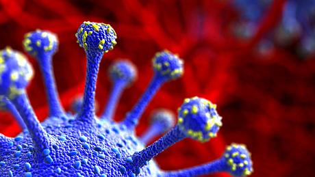 Coronavirus-Großaufnahme in Blau vor rotem Hintergrund - Foto: istock/Inok