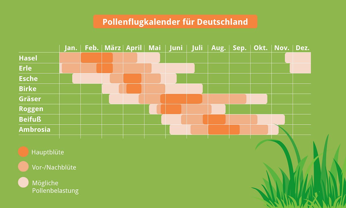 Pollenflugkalender nach Monaten