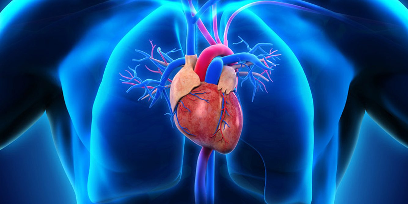 Neben Herzinfarkt und Schlaganfall ist sie die häufigste Herz-Kreislauferkrankung, doch was ist eine Lungenembolie eigentlich?