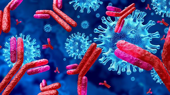 Illustration von Antikörpern - Foto: iStock_wildpixel
