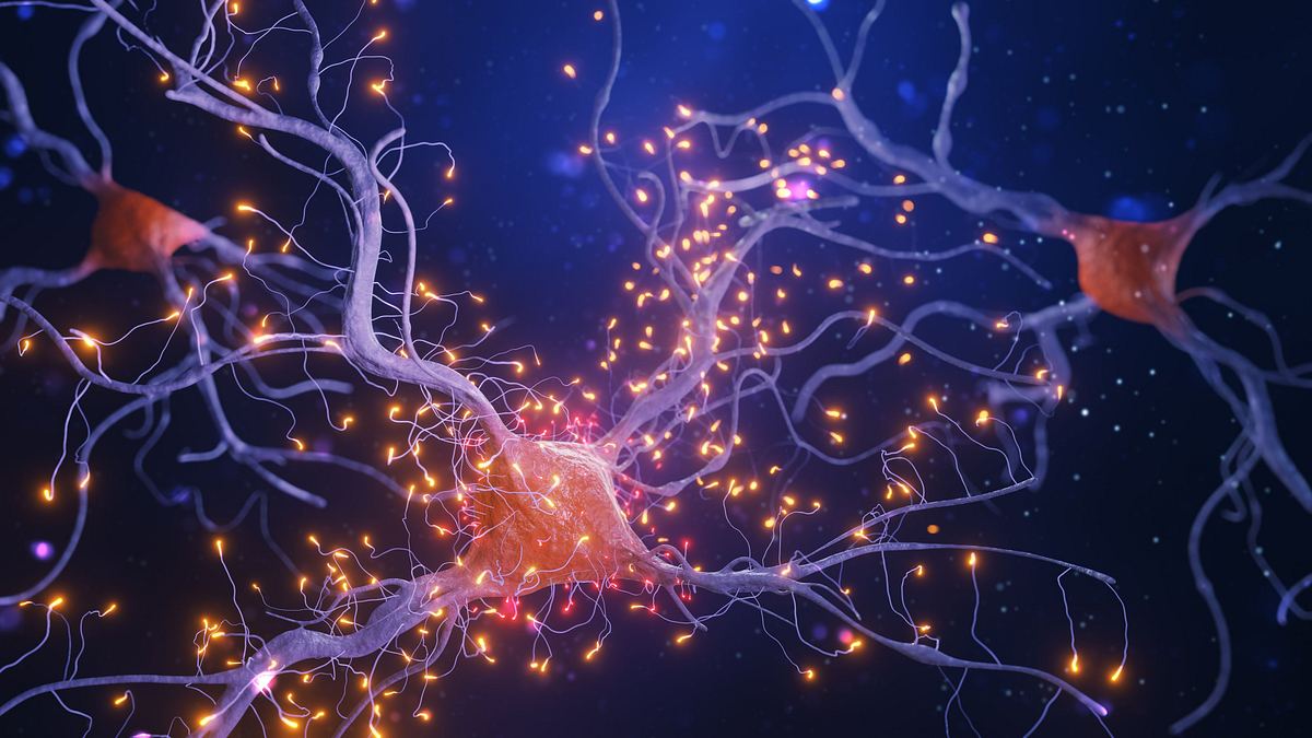 Eine Illustration eines Neuronennetzwerks