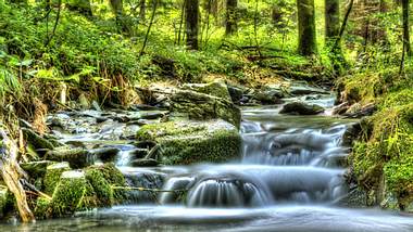 Wasserfall im Wald - Foto: Fotolia
