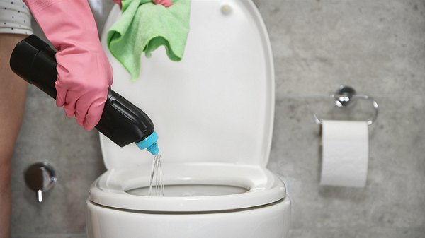 WC-Reiniger selber machen - Foto: iStock/sefa ozel