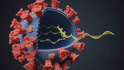 Graphik eines Coronavirus-Partikels - Foto: istock/vchal