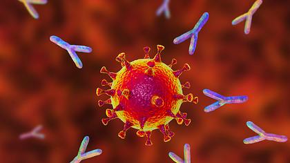 Nahaufnahme vom Coronavirus mit Antikörpern - Foto: iStock/Dr_Microbe