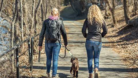 Zwei Frauen und Hund gehen Spazieren - Foto: istock/MathieuLphoto
