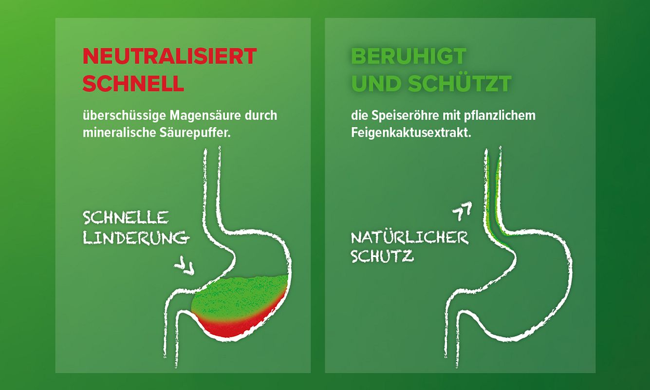 Refluthin Wirkmechanismus